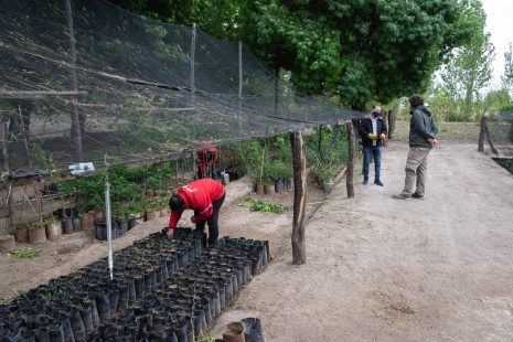 Importantes actividades para mantener el pulmón verde del Departamento