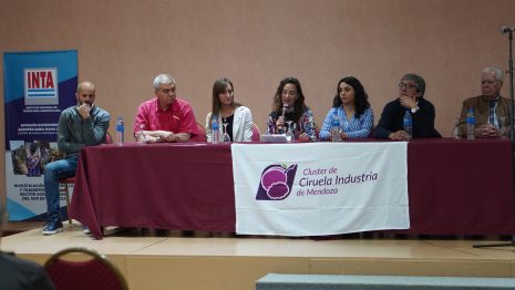 Importante reunión de todos los integrantes del Clúster de Ciruela de Industria de Mendoza