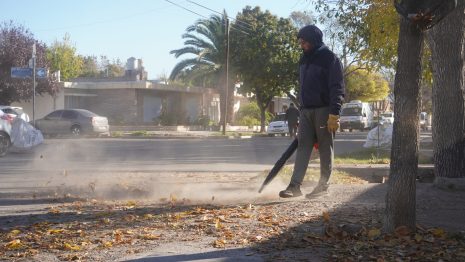 Innovadora práctica de recolección de hojas y poda en ciudad