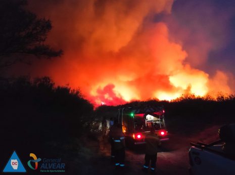 Más de 700 hectáreas se incendiaron en Colonia Rusa