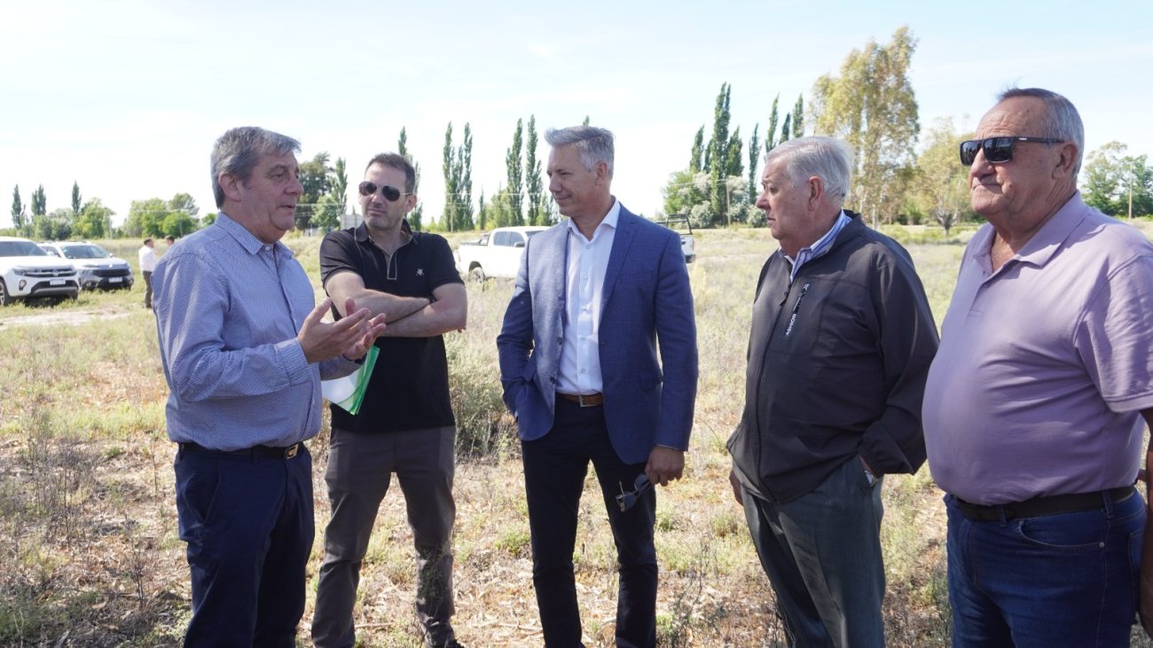 Comenzó el proceso para la instalación del primer parque solar de General Alvear