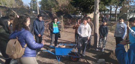 Actividades en el marco del Día del Medio Ambiente